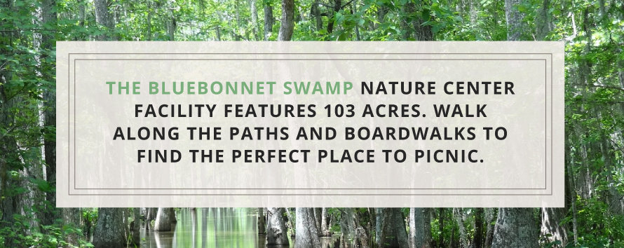 bluebonnet swamp nature center