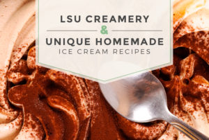 LSU Creamery and Unique Homemade Ice Cream Recipes