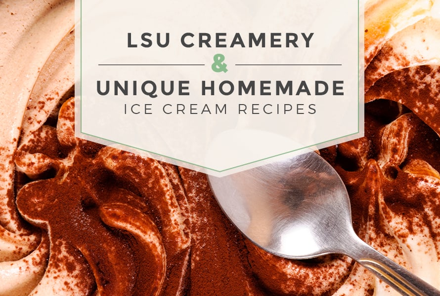 lsu creamery and homemade ice cream recipes